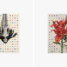 Photography, 1060 and 6002, Diptych. From The One Series, Salvatore Arnone