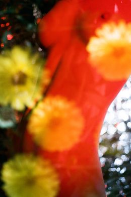 Photography, Metamorfose Ambulante (Red Floral), Michael David Walrond