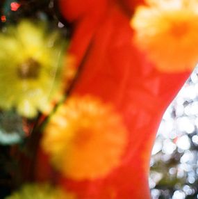 Photography, Metamorfose Ambulante (Red Floral), Michael David Walrond