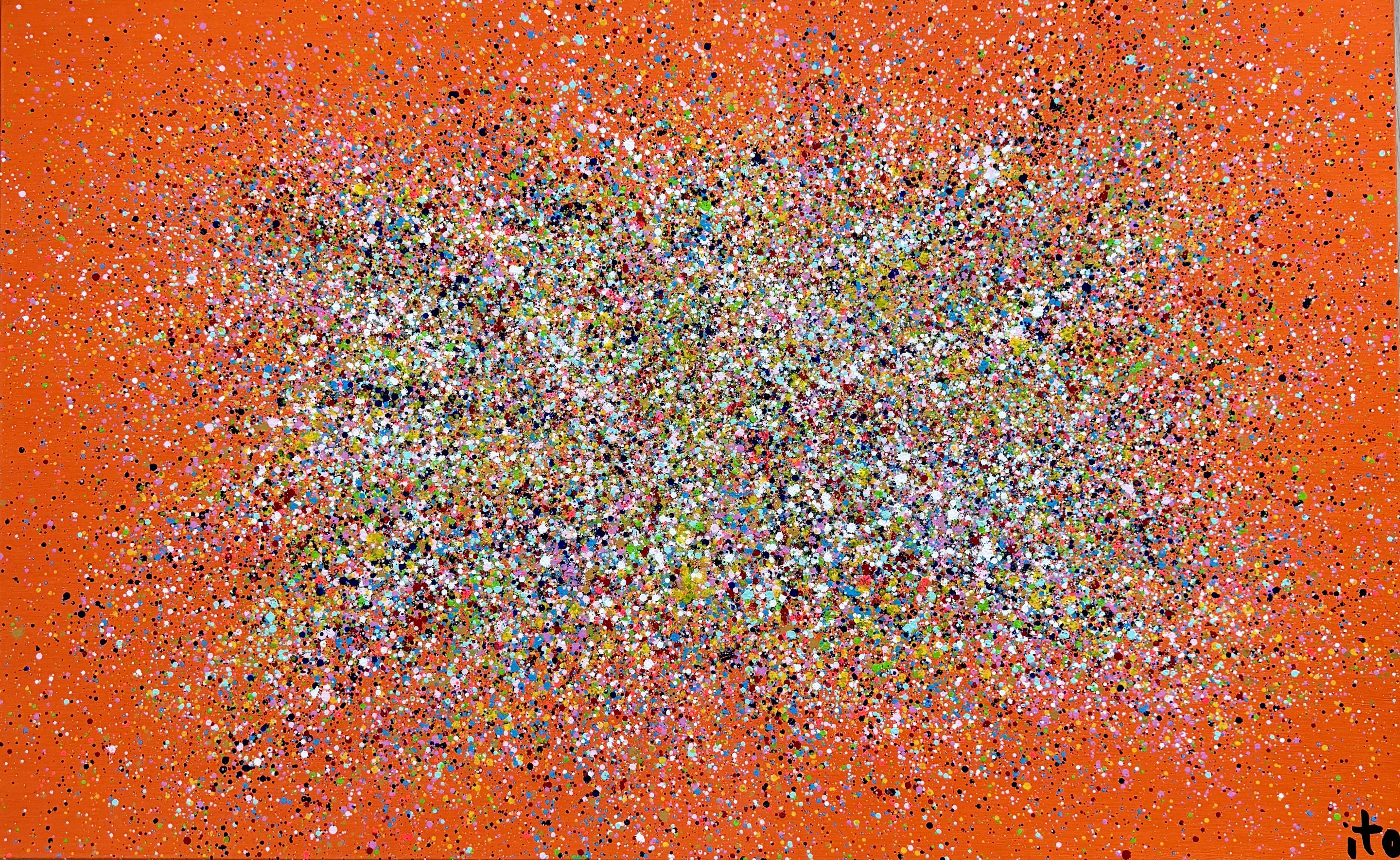Ito Dubois, Orange Cosmos Ito Dubois, Orange Cosmos