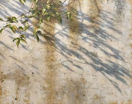 Gemälde, Shadows map, Carlos Diaz