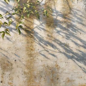 Peinture, Shadows map, Carlos Diaz