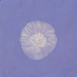 Pittura, Mold, Taisia Korotkova