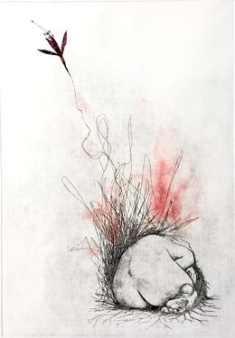 Disegno, Vue de dos, Flo. M