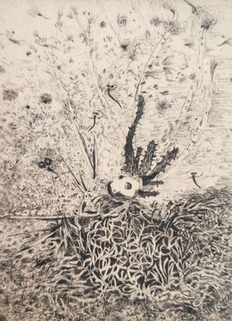 Print, Barathrus, Didier Hamey
