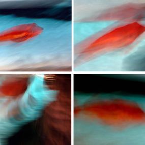 Photographie, Red Fish Destruction. Quadriptych, Luca Artioli