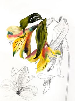 Painting, Lilies No. 5, Elizabeth Becker