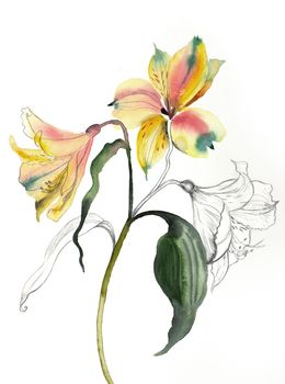 Painting, Lilies No. 6, Elizabeth Becker