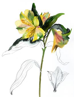 Painting, Lilies No. 7, Elizabeth Becker