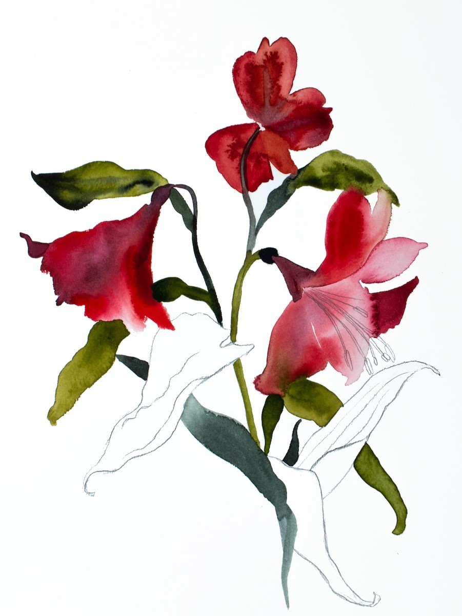 Elizabeth Becker, Lilies No. 9 Elizabeth Becker, Lilies No. 9