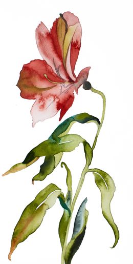 Painting, Lily No. 2, Elizabeth Becker