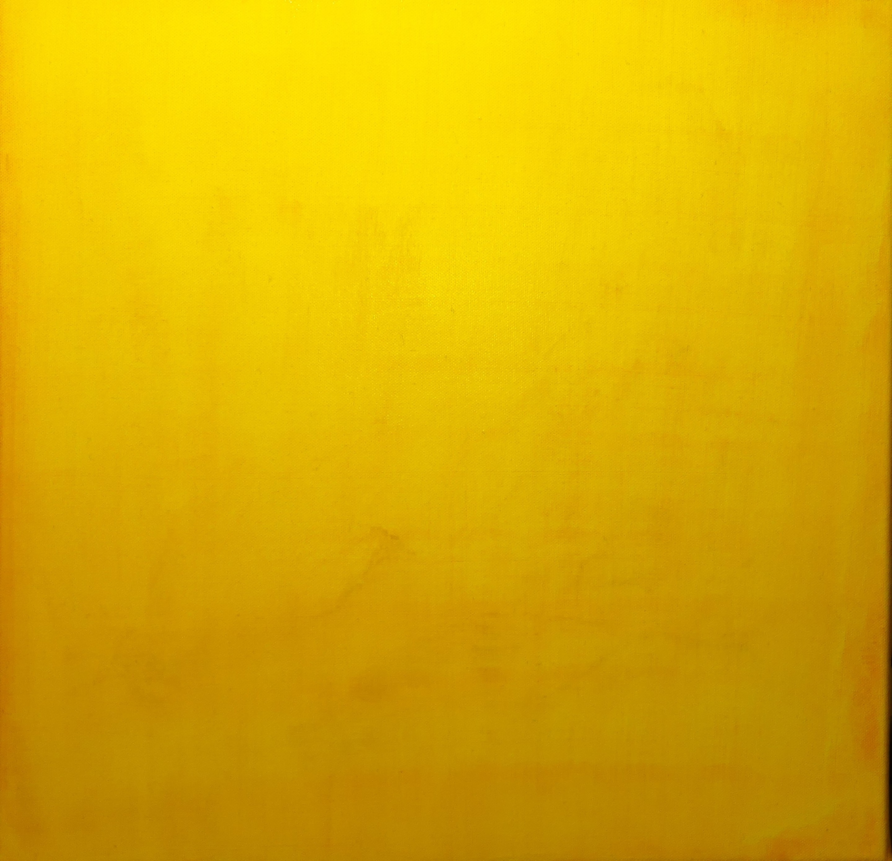 Nicolas Vasse, Jaune n°2 Nicolas Vasse, Jaune n°2