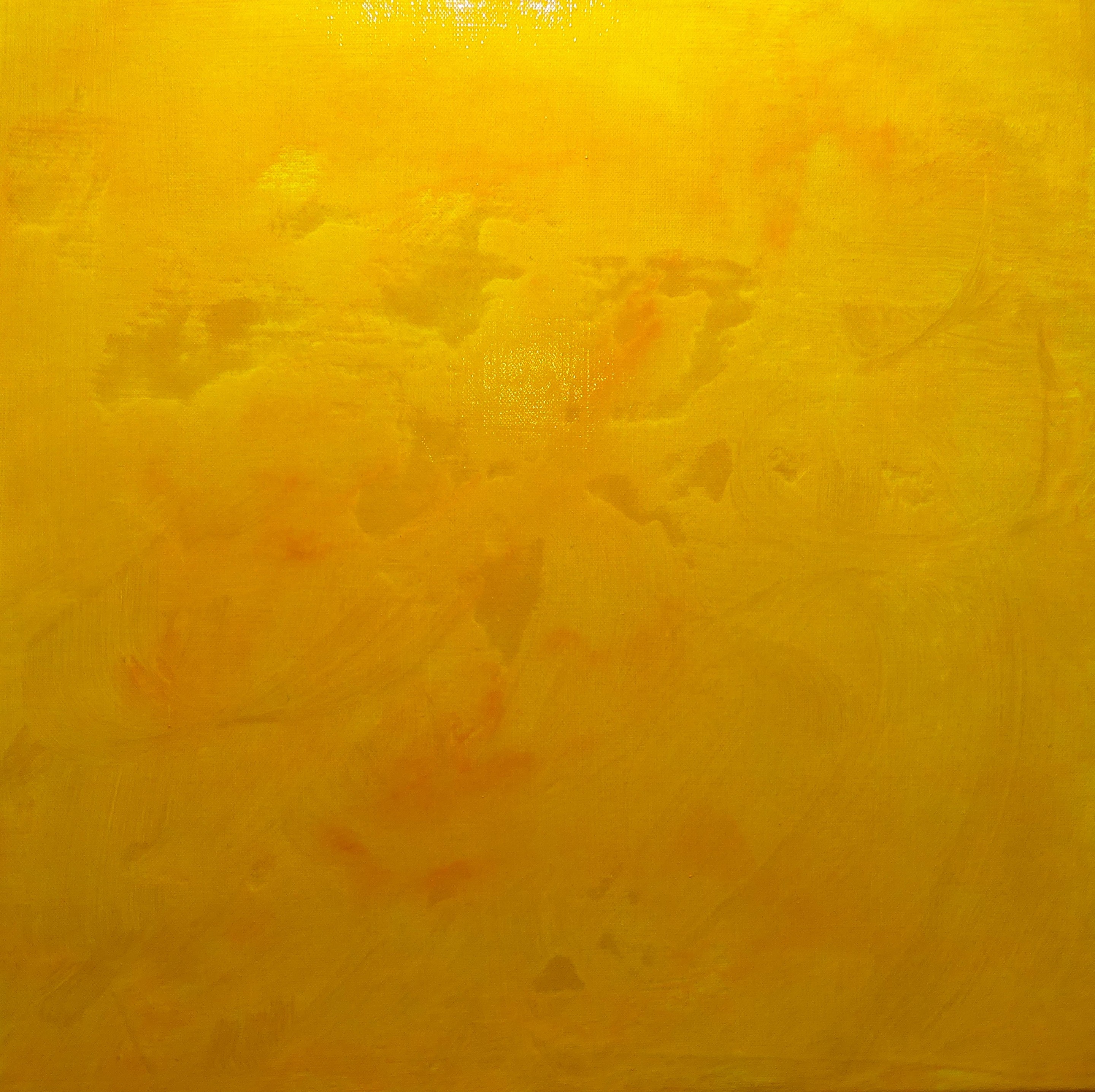Nicolas Vasse, Jaune n°3 Nicolas Vasse, Jaune n°3