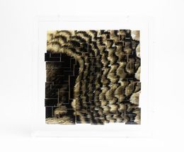 Sculpture, Brahmaea hearseyi, Yann Crenn