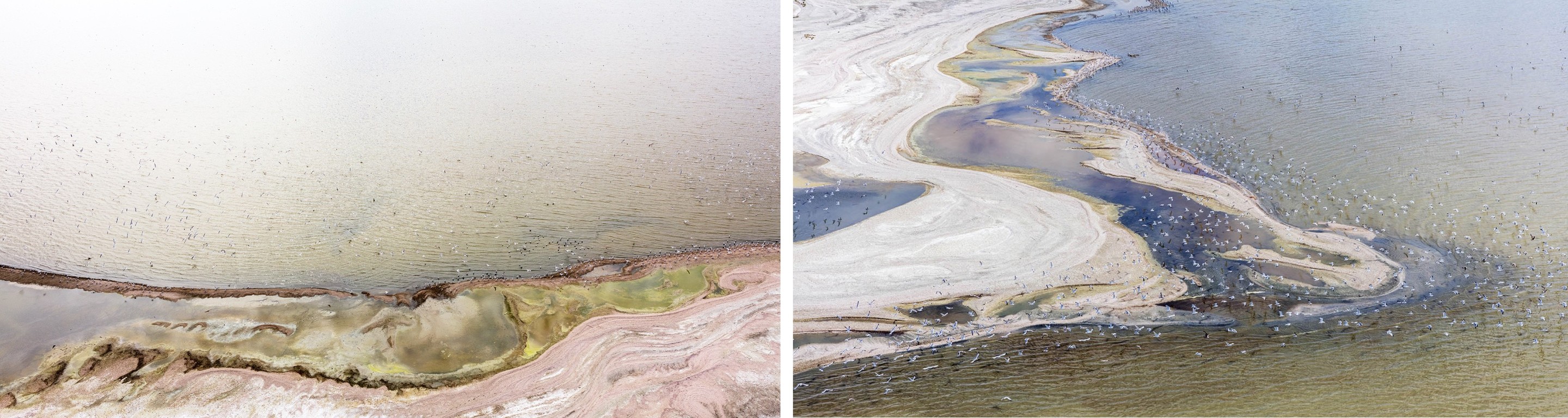 Jill Peters, Untitled 670A and Untitled 1872 Diptych. Aerial Photography Jill Peters, Untitled 670A and Untitled 1872 Diptych. Aerial Photography