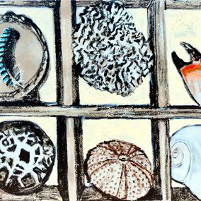 Pintura, Plume de Geai, Oursin & pince de Crabe, Aurelie Cholley