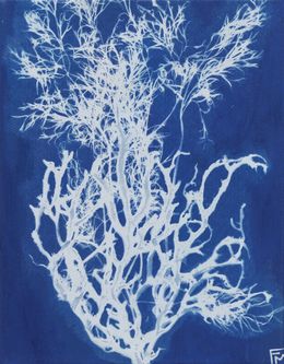 Gemälde, Algues bouquet 2 - Série Monde végétal, Fabienne Maunoury