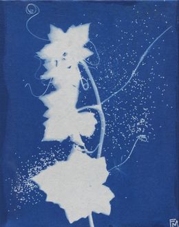 Gemälde, Bryone dioïque et graines de coquelicots - Série Monde végétal, Fabienne Maunoury