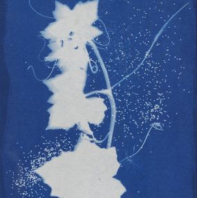 Gemälde, Bryone dioïque et graines de coquelicots - Série Monde végétal, Fabienne Maunoury