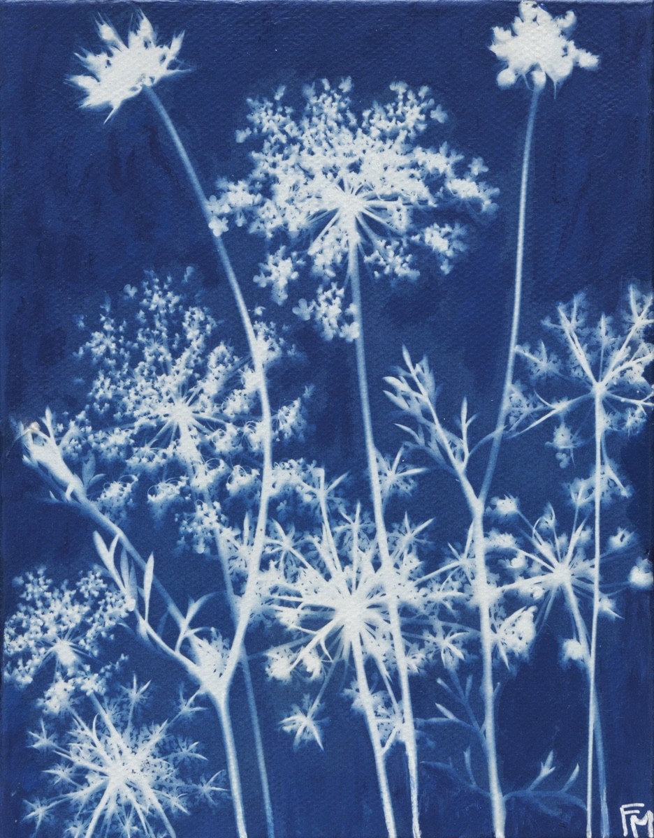Fabienne Maunoury, Fleurs de carottes 6 - Série Monde végétal Fabienne Maunoury, Fleurs de carottes 6 - Série Monde végétal
