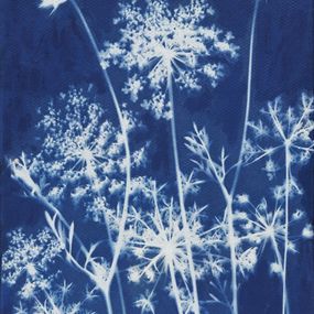 Gemälde, Fleurs de carottes 6 - Série Monde végétal, Fabienne Maunoury