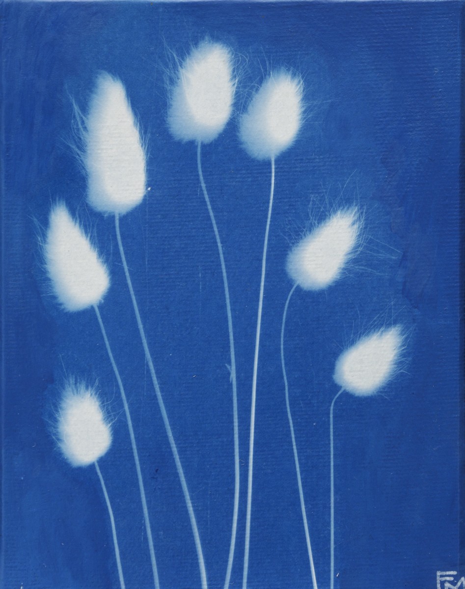 Fabienne Maunoury, Bouquet de lagures 1 - Série Monde végétal Fabienne Maunoury, Bouquet de lagures 1 - Série Monde végétal