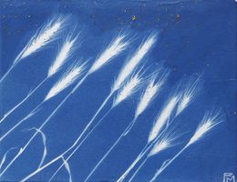 Gemälde, Paysage de graminées 1 - Série Monde végétal, Fabienne Maunoury