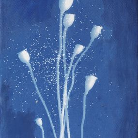 Painting, Coquelicots  secs et graines - Série Monde végétal, Fabienne Maunoury