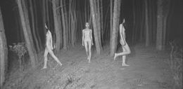 Fotografien, Nightingale, Wang Bing