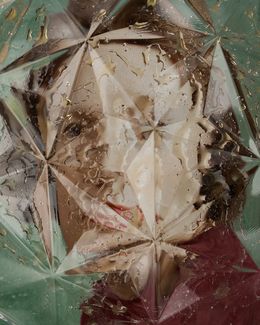Fotografien, Splintered, ALENA SOLOMONOVA