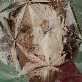 Fotografien, Splintered, Alena Solomonova