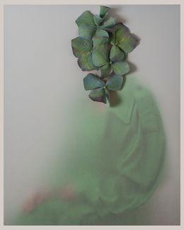 Fotografien, Green head, ALENA SOLOMONOVA