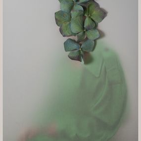 Fotografien, Green head, Alena Solomonova