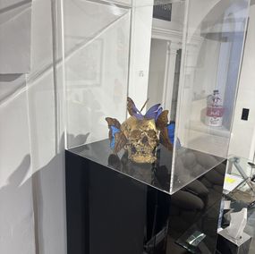 Sculpture, Vanité aux papillons, Philippe Pasqua