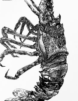 Zeichnungen, To be visible, Iryna Burda