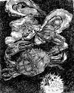 Zeichnungen, Searching for meaning, Iryna Burda