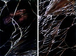 Fotografien, Untitled 12 and 18, Diptych. From The While You Are Surfing Series, Arslan Sükan