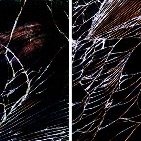 Photographie, Untitled 12 and 18, Diptych. From The While You Are Surfing Series, Arslan Sükan
