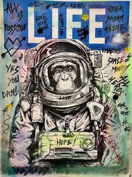 Painting, Space Monkey - yes you can!, N.Nathan