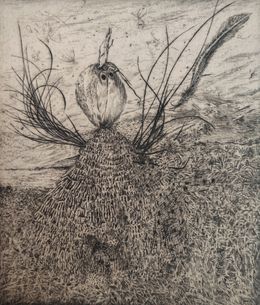 Drucke, L'époustoufle, Didier Hamey