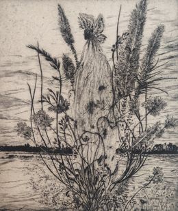 Edición, Selva, Didier Hamey