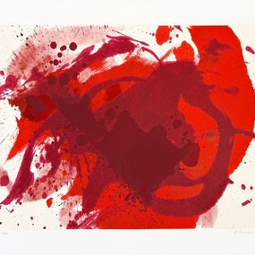 Kazuo Shiraga Kazuo Shiraga