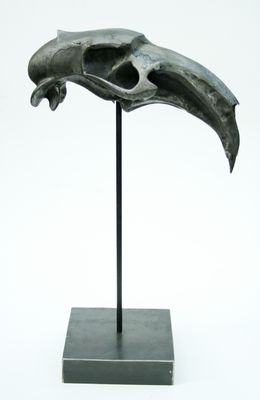 Sculpture, Rat skull, Benoît Polvêche