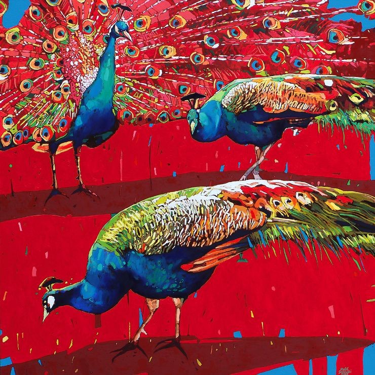Rafal Gadowski, Peacocks 36 Rafal Gadowski, Peacocks 36