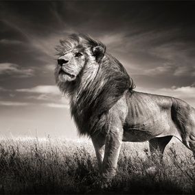 Photographie, Just Me, Joachim Schmeisser