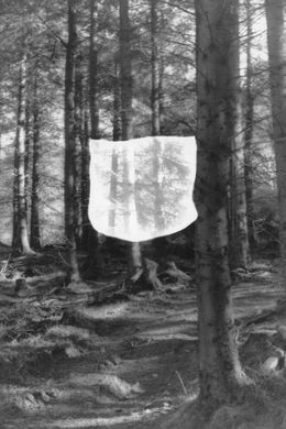 Fotografien, Apaiser le brouillard, Anaïs Bastard