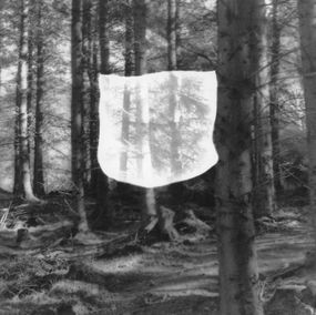 Photography, Apaiser le brouillard, Anaïs Bastard