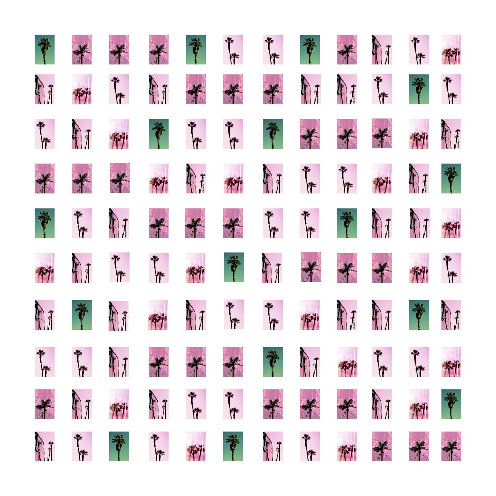 Gaelle S. Warner, Les palmiers 1/8 Gaelle S. Warner, Les palmiers 1/8