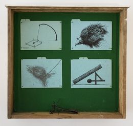 Sculpture, Bird Trap, ROA