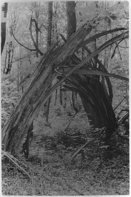 Fotografien, Apaiser le brouillard, Anaïs Bastard